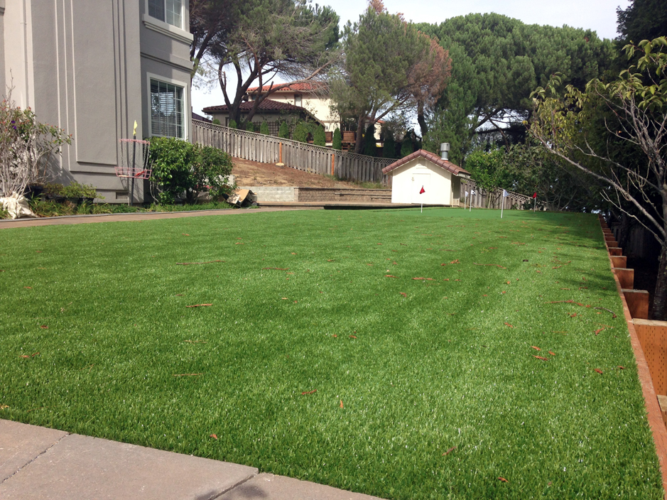 Artificial Turf Cost Nucla Colorado Home Putting Green Backyard