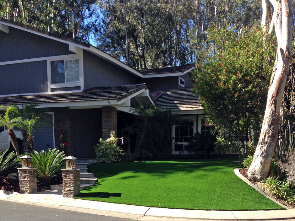 Best Artificial Grass Hugo, Colorado Landscape Ideas ...