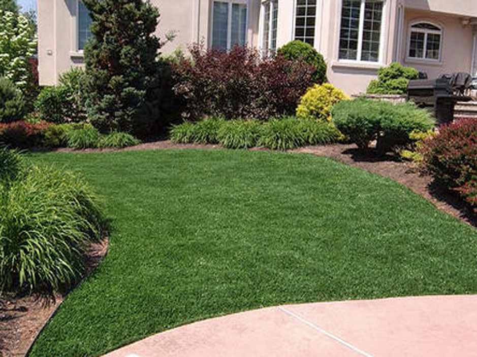 Fake Grass Larkspur Colorado Landscaping Front Yard Landscaping