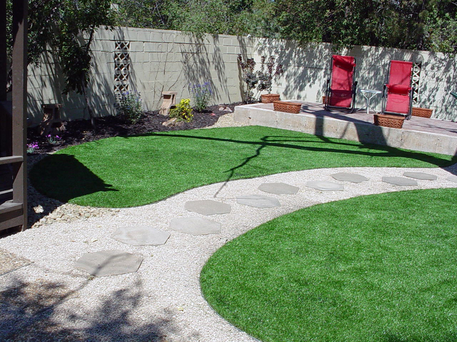 Fake Lawn Vail Colorado Lawn And Garden Backyard Design