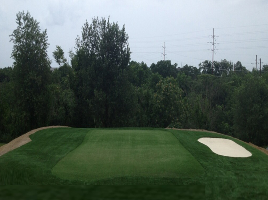 Fake Turf Kremmling Colorado Putting Green Turf Backyard Ideas
