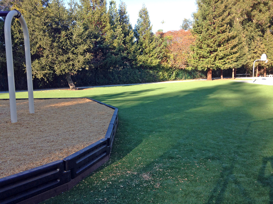 Grass Carpet Eaton, Colorado Lawn And Garden, Recreational Areas
