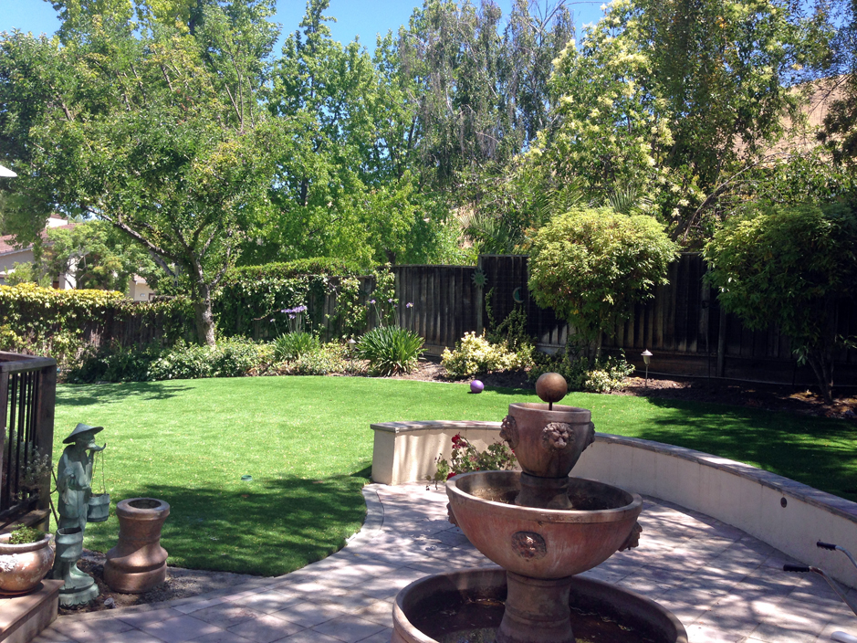 Grass Turf Seven Hills Colorado Landscape Ideas Backyard Makeover