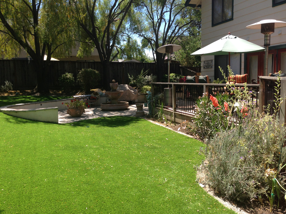 Outdoor Carpet Colorado Springs Colorado Lawn And Garden