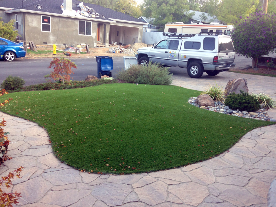 Synthetic Turf Supplier Coal Creek, Colorado Backyard Playground, Front Yard Ideas