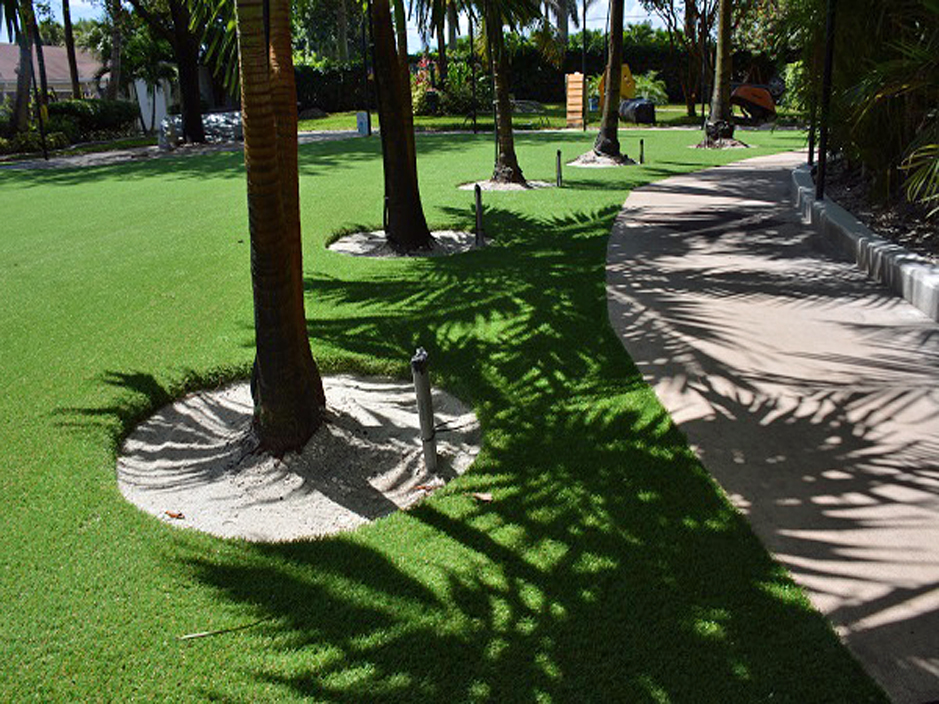 Turf Grass Garden City, Colorado Lawn And Landscape, Commercial Landscape