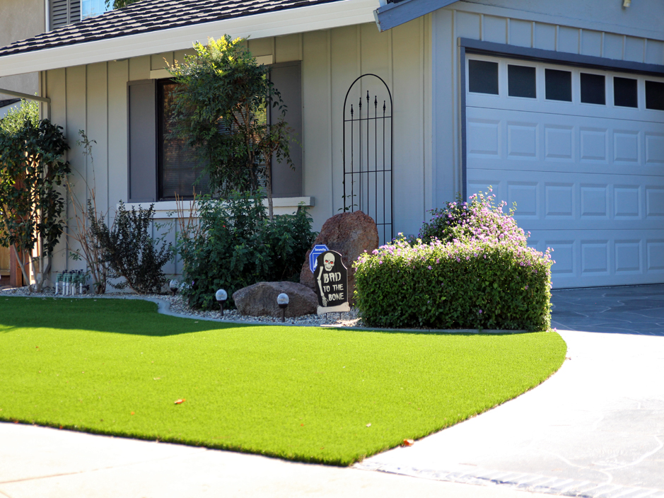 Turf Grass Two Buttes, Colorado Garden Ideas, Front Yard