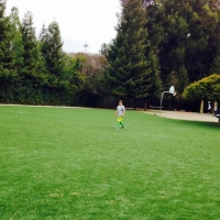 Artificial Grass Cathedral, Colorado Football Field, Parks