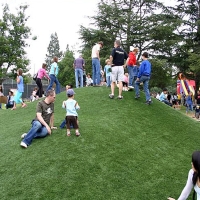 Artificial Lawn De Beque, Colorado Paver Patio, Parks