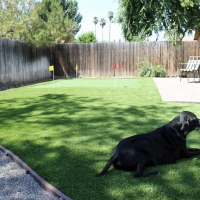 Artificial Lawn La Junta Gardens, Colorado Design Ideas, Beautiful Backyards