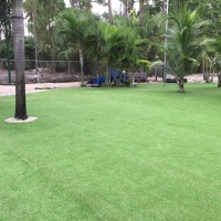 Artificial Turf Installation Sheridan Lake, Colorado Home And Garden, Commercial Landscape