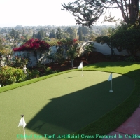 Artificial Turf Lakewood, Colorado Putting Greens, Backyard Designs