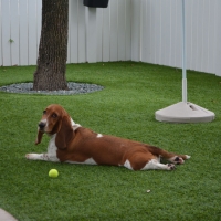 Fake Grass Carpet Lake City, Colorado Drainage, Grass for Dogs