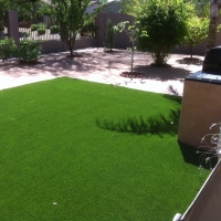 Fake Grass Cheyenne Wells, Colorado Pet Turf, Dog Kennels