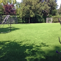 Fake Grass Parshall, Colorado Rooftop, Small Backyard Ideas