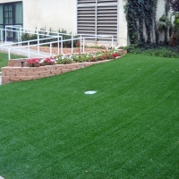 Fake Lawn Divide, Colorado Landscape Ideas, Front Yard Landscaping