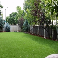 Faux Grass Howard, Colorado Cat Playground, Beautiful Backyards