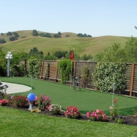 Grass Carpet Wellington, Colorado Landscaping Business, Backyard Design