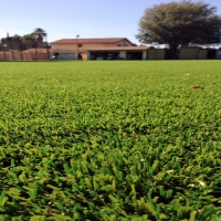 Grass Installation Black Forest, Colorado Landscaping Business