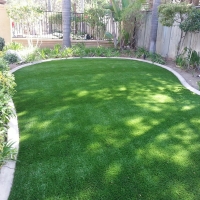 Grass Turf Fort Garland, Colorado Lawn And Garden