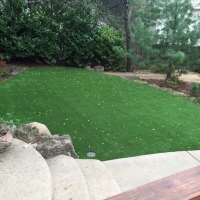 Grass Turf Silt, Colorado Landscaping Business, Beautiful Backyards