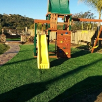 Grass Turf West Pleasant View, Colorado Playground Flooring, Backyard Ideas