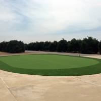 Synthetic Grass Alamosa, Colorado Diy Putting Green, Front Yard Landscaping Ideas