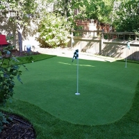 Synthetic Turf Supplier Oak Creek, Colorado Design Ideas, Beautiful Backyards