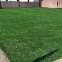 Turf Grass Fleming, Colorado Football Field