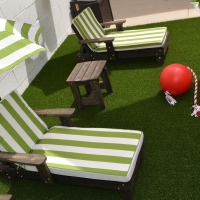 Turf Grass Towner, Colorado Rooftop, Backyard Landscaping