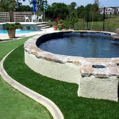 Artificial Grass Carpet Crawford, Colorado Putting Green Grass, Natural Swimming Pools