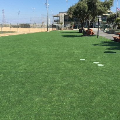 Artificial Grass Carpet Delta, Colorado Paver Patio, Recreational Areas