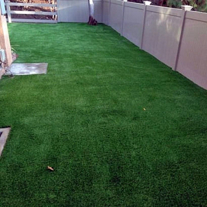 Artificial Grass Carpet Security-Widefield, Colorado Dog Park, Backyard