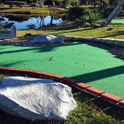 Artificial Grass Carpet Winter Park, Colorado Putting Green Turf, Backyards