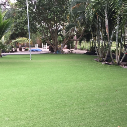 Artificial Grass Cedaredge, Colorado Garden Ideas, Commercial Landscape