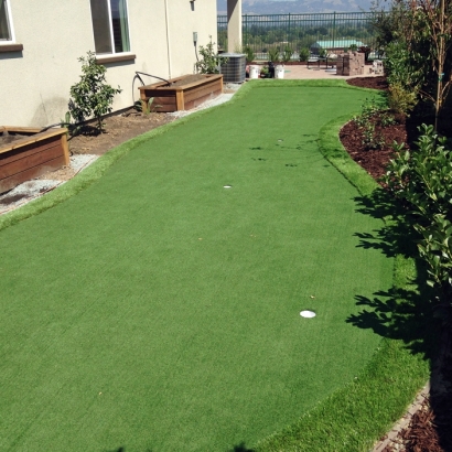 Artificial Grass El Jebel, Colorado Putting Green, Backyard Landscaping