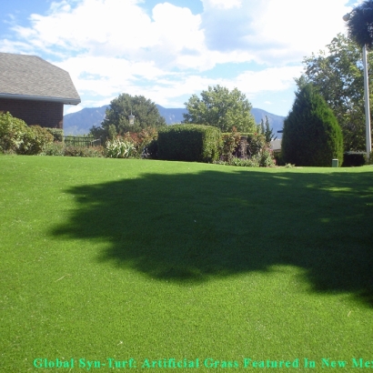 Artificial Grass Lakeside, Colorado Gardeners, Backyard Design