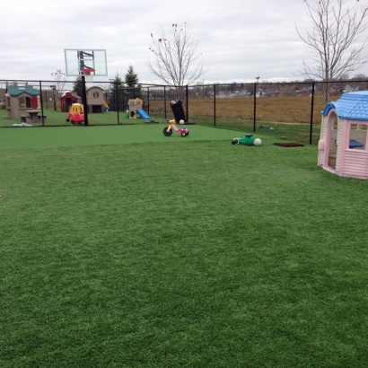 Artificial Grass Red Cliff, Colorado Indoor Playground, Commercial Landscape