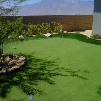 Artificial Grass Saguache, Colorado Lawn And Garden, Small Backyard Ideas