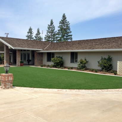 Artificial Grass Silverthorne, Colorado Landscaping Business, Small Front Yard Landscaping