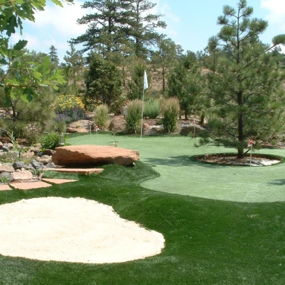 Artificial Lawn Center, Colorado Indoor Putting Greens, Backyard Ideas