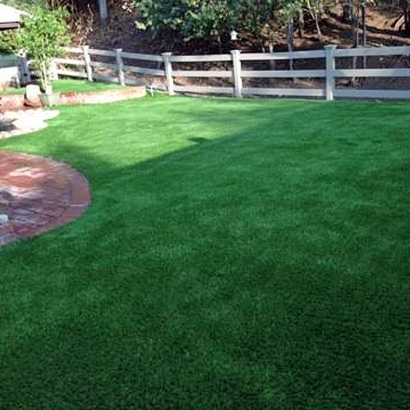 Artificial Lawn Florissant, Colorado Cat Grass, Backyard Ideas