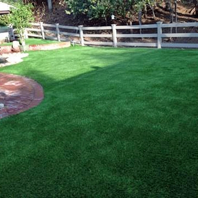 Artificial Lawn Florissant, Colorado Cat Grass, Backyard Ideas