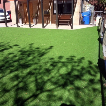 Artificial Lawn Kirk, Colorado Lawn And Landscape, Backyard Ideas