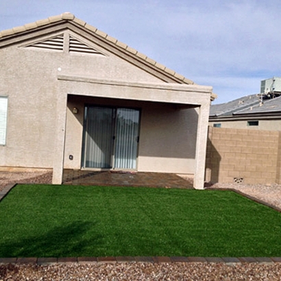 Artificial Lawn Lincoln Park, Colorado Watch Dogs, Backyard Ideas