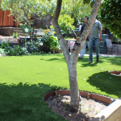 Artificial Lawn North La Junta, Colorado Landscape Photos, Backyard Garden Ideas