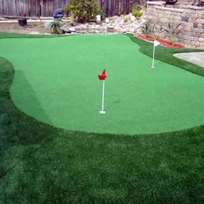 Artificial Lawn Prospect Heights, Colorado Artificial Putting Greens, Backyard Landscaping Ideas