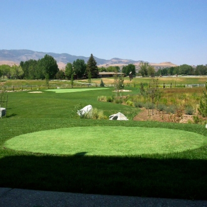 Artificial Turf Battlement Mesa, Colorado Landscaping Business, Backyard Landscape Ideas