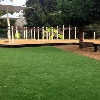 Artificial Turf Collbran, Colorado Athletic Playground, Backyards