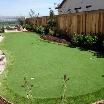 Artificial Turf Cost Brandon, Colorado How To Build A Putting Green, Backyard Garden Ideas